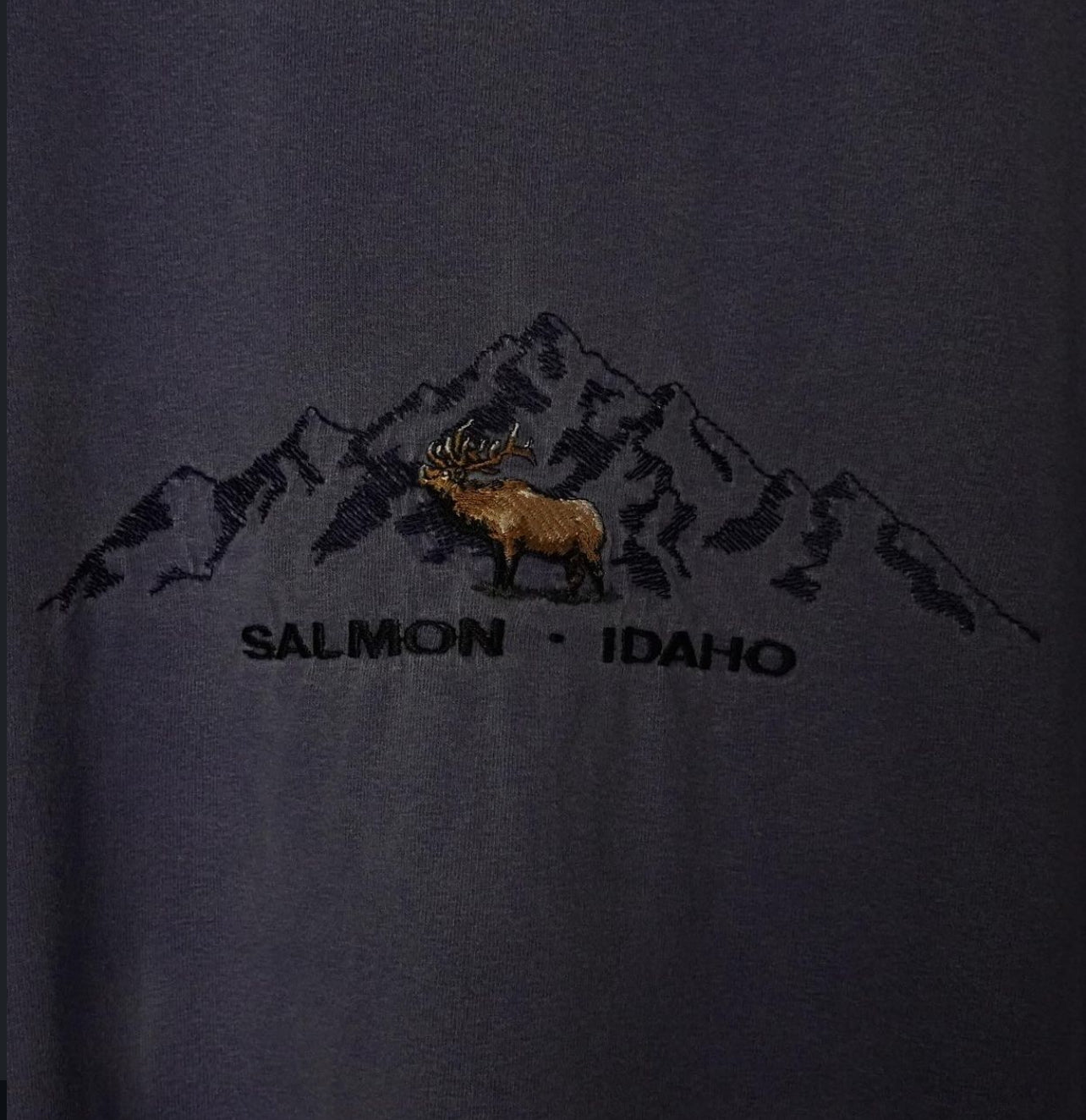 Vintage Idaho tee