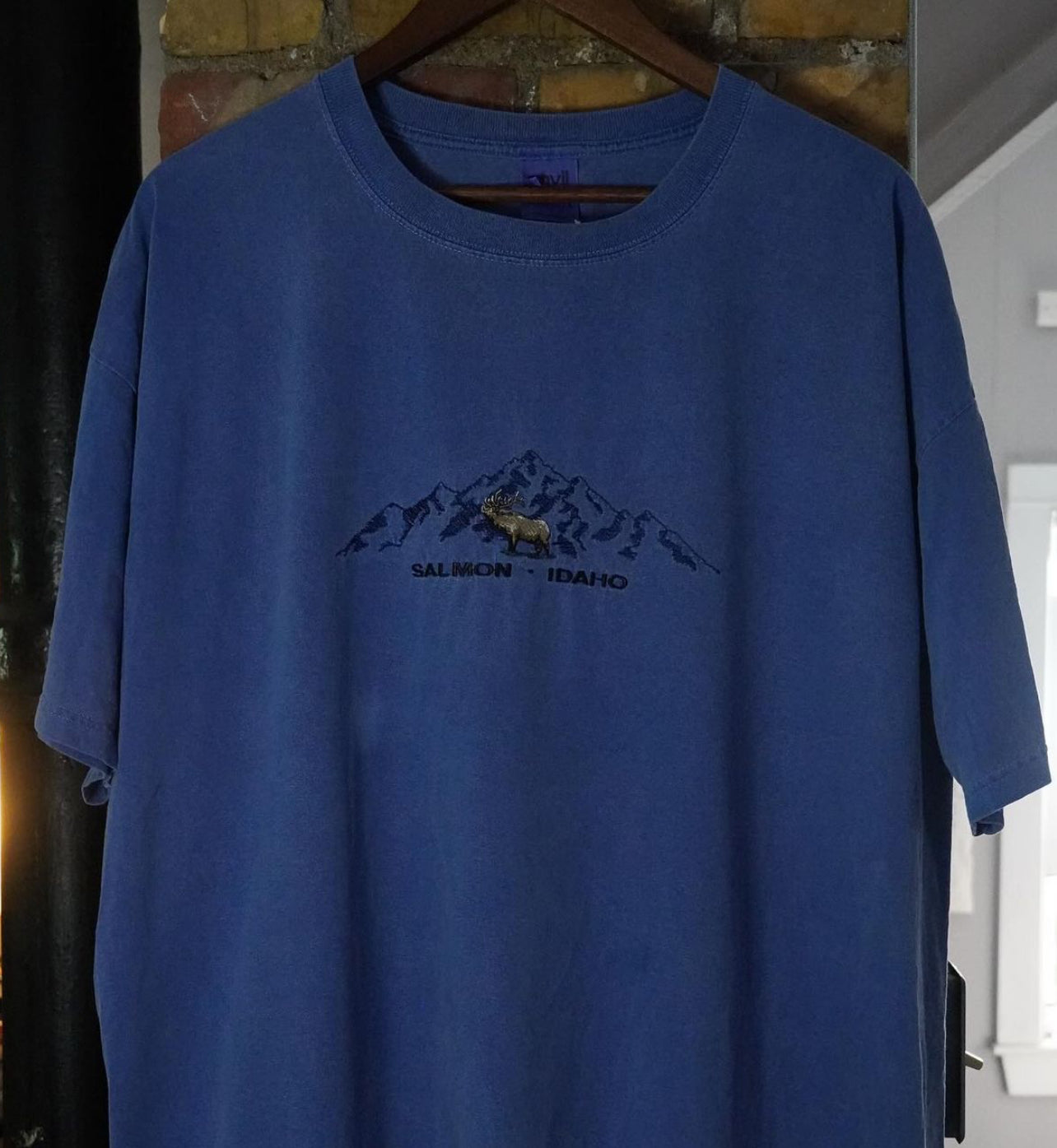 Vintage Idaho tee